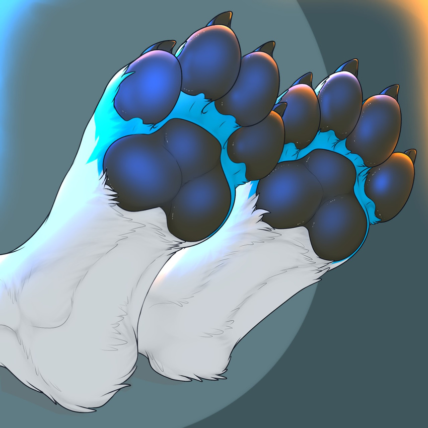 1:1 2017 3dinoz 4_toes ambiguous_gender anthro arctic_fox blue_body blue_fur canid canine digitigrade faceless_ambiguous faceless_character feet foot_shot fox fur hi_res mammal multicolored_body multicolored_fur pawpads paws simple_background solo toes true_fox two_tone_body two_tone_fur white_body white_fur