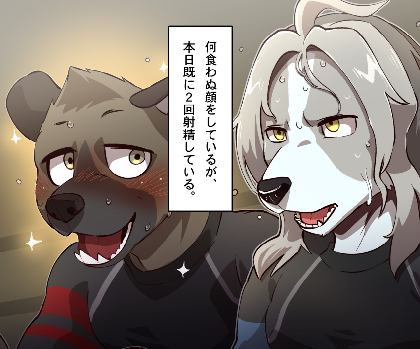 2023 6:5 aggretsuko anthro avoid_posting black_nose blush brown_body brown_fur canid canine canis clothing director_himuro domestic_dog duo fur grey_body grey_fur haida_(aggretsuko) hi_res hunting_dog hyena japanese_text looking_at_another male mammal nikunabe1989 open_mouth saluki sanrio shirt sighthound spotted_hyena t-shirt text topwear translation_request white_body white_fur yellow_eyes