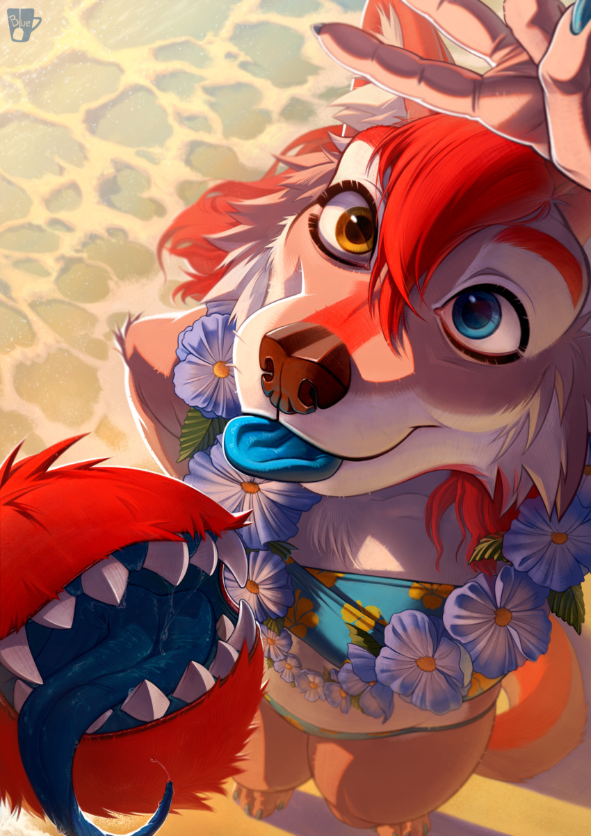 ahya_(legend_of_ahya) anthro beach bikini blep blue_eyes blueteaa canid canine canis clothing female floral flower flower_garland fur garland gesture goofy_smile hair hand_gesture heterochromia hi_res legend_of_ahya lei mammal plant red_body red_fur red_hair sand seaside silly_face solo swimwear tail tail_mouth taylor_renee_wolford_(darkflamewolf) teeth teeth_showing tongue tongue_out unusual_anatomy unusual_tail v_sign water wolf yellow_eyes