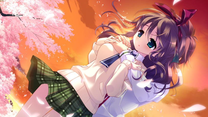 blue_eyes brown_hair game_cg hamashima_shigeo hanamadoka_shino petals pochi_to_goshujin-sama seifuku skyfish