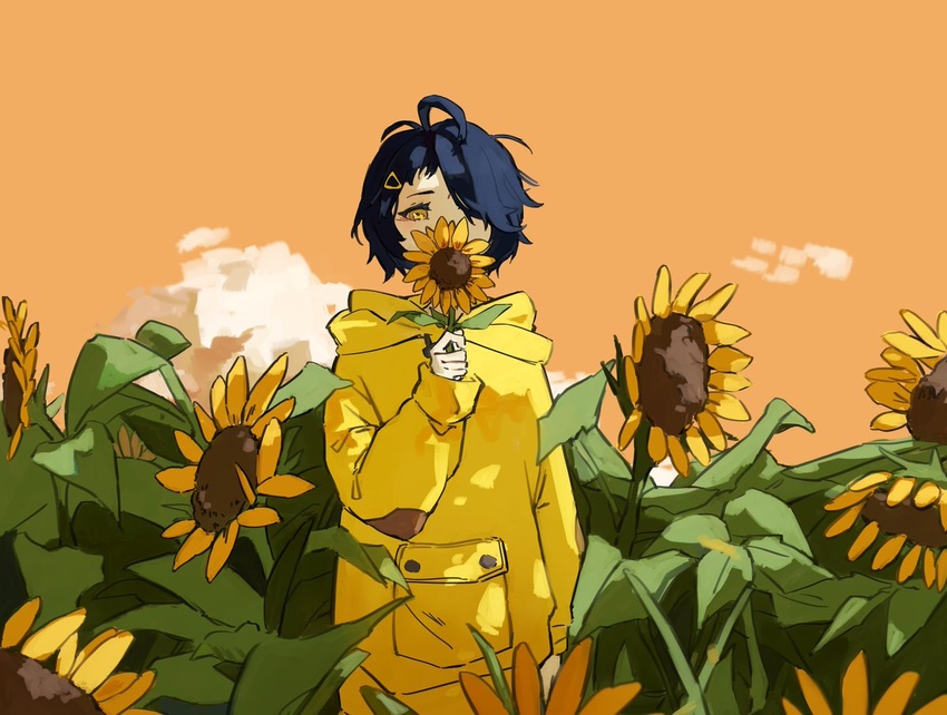 ahoge blue_hair cloud commentary covering_own_mouth cowboy_shot flower hood hood_down hoodie kurattes looking_at_viewer ooto_ai orange_background orange_sky outdoors short_hair sky sunflower symbol-only_commentary triangle_hair_ornament wonder_egg_priority yellow_eyes yellow_hoodie