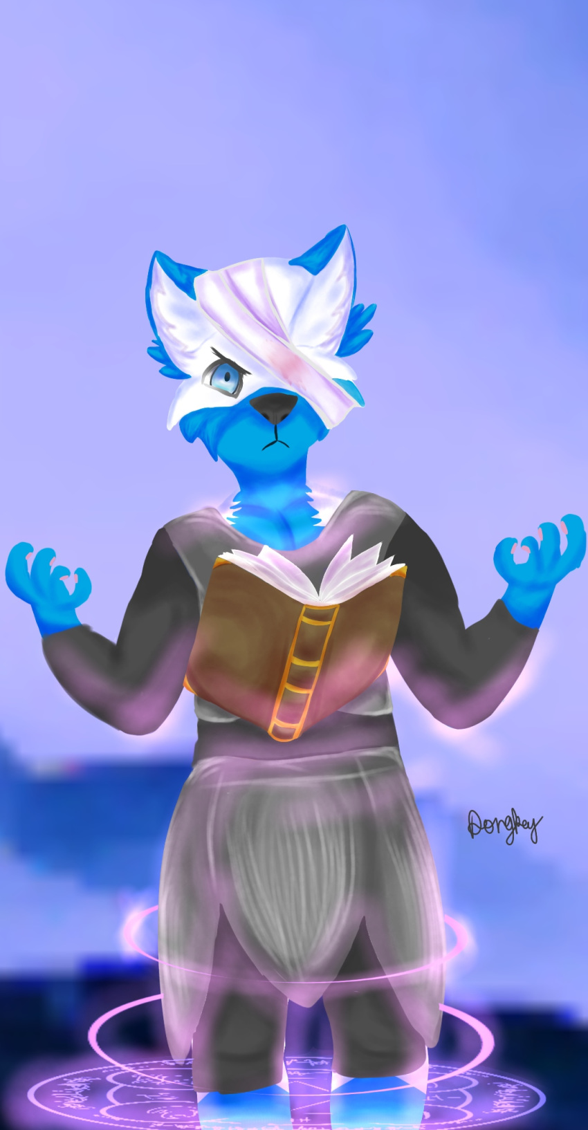 anthro dongkey hi_res magic male male_character solo