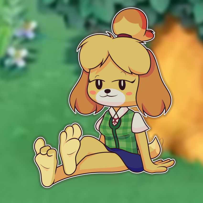 1:1 3_toes animal_crossing anthro barefoot bedroom_eyes blush blush_stickers bottomwear canid canine canis cardigan clothed clothing countershade_feet countershading crossed_legs curling_toes domestic_dog feet female foot_focus fur haitbe hi_res humanoid_feet isabelle_(animal_crossing) looking_at_viewer mammal monotone_bottomwear monotone_clothing monotone_skirt narrowed_eyes nintendo paws plantigrade relaxing seductive shih_tzu sitting skirt smile smug soles solo tail tail_motion tailwag toes toy_dog yellow_body yellow_fur