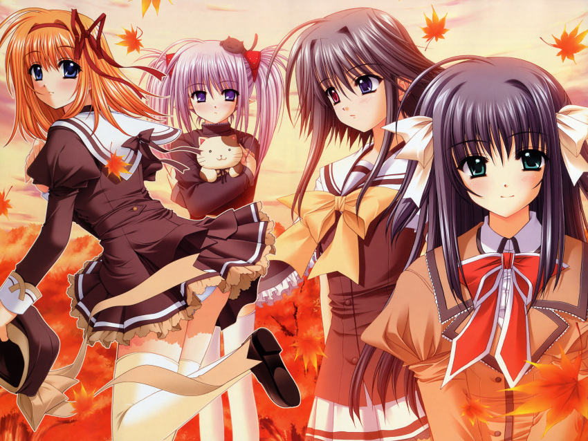 4girls absurdres autumn black_hair blue_eyes blush fuyou_kaede green_eyes grey_hair hair_ribbon hat heterochromia highres leaf mayumi_thyme multiple_girls national_verbena_academy_school_uniform nishimata_aoi official_art orange_hair panties pantyshot primula purple_eyes really?_really! ribbon school_uniform short_hair short_hair_with_long_locks shuffle! stuffed_animal stuffed_cat stuffed_toy thighhighs twintails underwear yae_sakura_(shuffle!) zettai_ryouiki