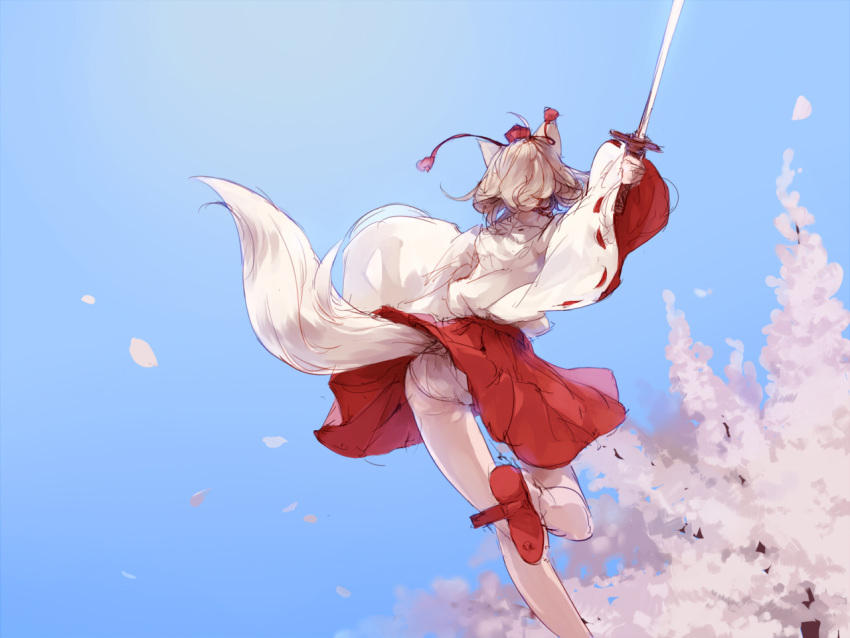 animal_ears arm_up ass bare_legs bare_shoulders blue_background cherry_blossoms commentary_request day detached_sleeves female from_behind grey_hair hat inubashiri_momiji jumping junwool lifted_by_tail long_sleeves panties pantyshot petals short_hair skirt sky solo sword tail tail_raised tokin_hat touhou underwear upskirt weapon white_hair wide_sleeves wolf_ears wolf_tail