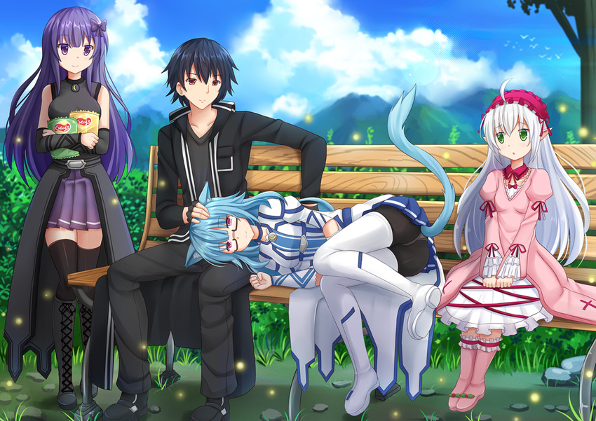 animal_ears boots catgirl crossover glasses grass group infinite_stratos kazenokaze lolita_fashion male original orimura_ichika park pointed_ears restia sarashiki_kanzashi seirei_tsukai_no_blade_dance tail thighhighs