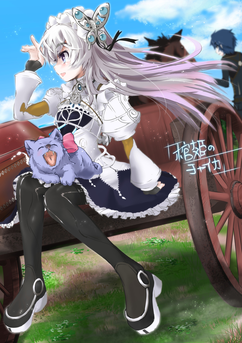 1boy animal black_thighhighs blue_sky blurry boots bow chaika_trabant closed_eyes cloud cloudy_sky commentary_request copyright_name day depth_of_field dress dutch_angle eyebrows feline female frederika_(hitsugi_no_chaika) from_behind full_body hellnyaa highres hitsugi_no_chaika long_hair long_sleeves maid_headdress open_mouth pants petals purple_eyes ribbon shirt short_hair sitting sky standing thick_eyebrows thigh_boots thighhighs tooru_acura white_hair wind yawning