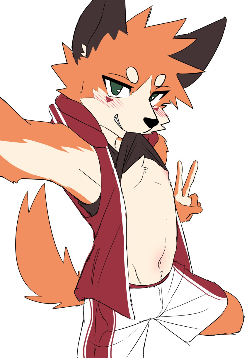 anthro blush bodily_fluids bulge canid canine clothed clothing clothing_lift countershading fox foxy_(nekojita) gesture hand_gesture hi_res kemono male mammal manadezimon nekojishi nipples open_clothing open_topwear open_vest seductive selfie shirt shirt_lift solo studio_klondike sweat sweatdrop topwear v_sign vest young young_anthro young_male