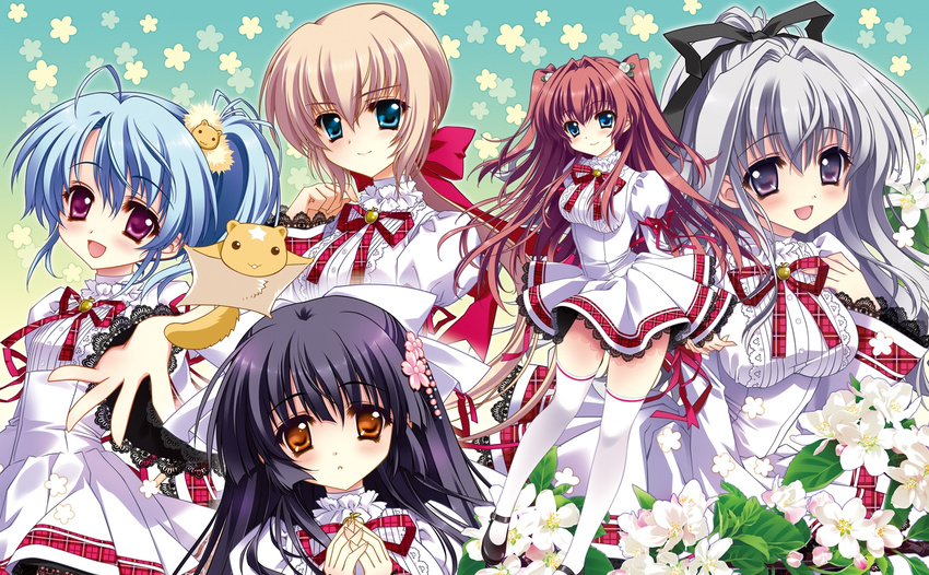 5girls asakura_karen black_hair blonde_hair blue_hair blush bow brown_hair cherry_blossoms cube_(alma) flower flying_squirrel grey_hair hair_ornament hase_nanami highres houshou_yukino kaburaki_runa kakyouin_kotone kimi_to_boku_to_eden_no_ringo long_hair long_sleeves multiple_girls open_mouth ponytail school_uniform skirt smile squirrel thighhighs zettai_ryouiki