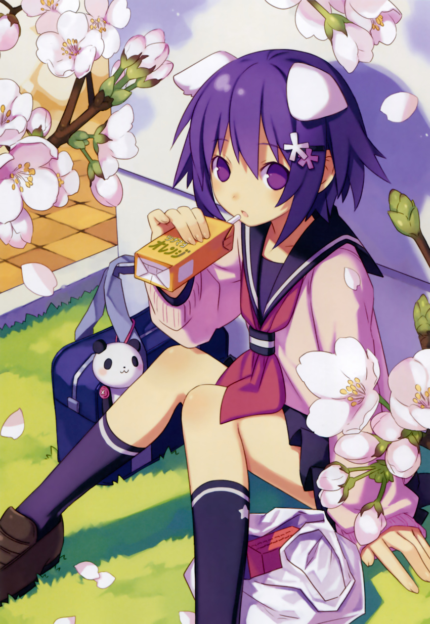 absurdres animal_ears bag cherry_blossoms copyright_request dog_ears drinking_straw duplicate female flower highres image_sample juice_box petals purple_eyes purple_hair resized school_bag school_uniform serafuku sitting sweater tsunako yandere_sample