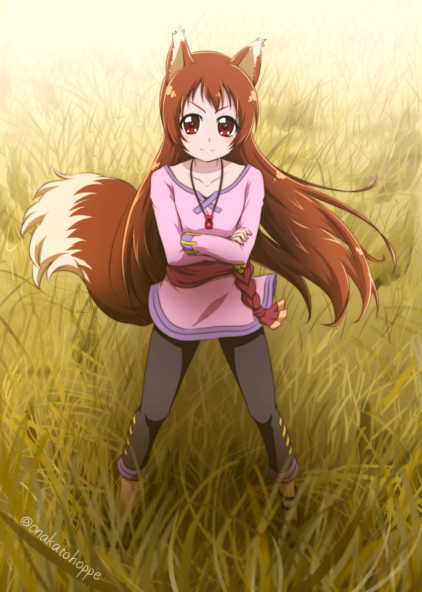 absurdres animal_ears anklet black_pants brown_hair capri_pants closed_mouth collarbone commentary_request cosplay crossed_arms day dokidoki!_precure female floating_hair full_body highres holo holo_(cosplay) jewelry long_hair long_sleeves looking_at_viewer madoka_aguri nita_(onakatohoppe) outdoors pants pink_shirt pouch precure red_eyes shirt smile solo spice_and_wolf standing tail twitter_username v-shaped_eyebrows very_long_hair wolf_ears wolf_girl wolf_tail