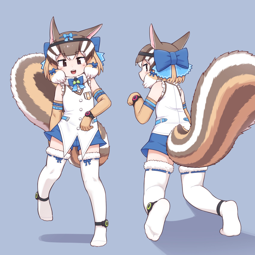 0x0082 animal_ears back bare_shoulders blue_background brown_eyes brown_hair chipmunk_ears chipmunk_girl chipmunk_tail elbow_gloves extra_ears female gloves highres kemono_friends kemono_friends_v_project looking_at_viewer looking_back microphone ribbon shirt short_hair shorts siberian_chipmunk_(kemono_friends) simple_background sleeveless sleeveless_shirt tail thighhighs vest virtual_youtuber