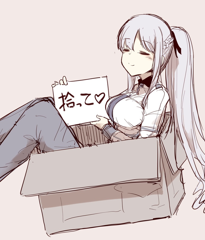 ak-12_(girls'_frontline) box braid breasts cardboard_box closed_eyes closed_mouth commentary_request female for_adoption girls'_frontline grey_hair highres holding holding_sign hourai_kochou in_box in_container large_breasts long_hair long_sleeves pants ponytail sign simple_background smile solo translated