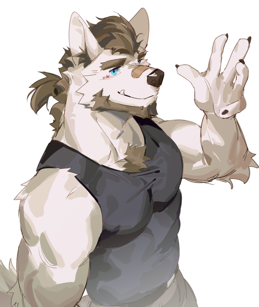 1boy animal_ears bandaid bandaid_on_nose bara beard beige_fur black_tank_top blue_eyes blue_sclera body_fur brown_hair chest_hair colored_sclera dog_boy dog_ears facial_hair from_above furry furry_male highres large_pectorals looking_at_viewer male_focus mature_male medium_hair muscular muscular_male original pectorals seato-hao snout solo tank_top thick_eyebrows tied_hair tusks waving