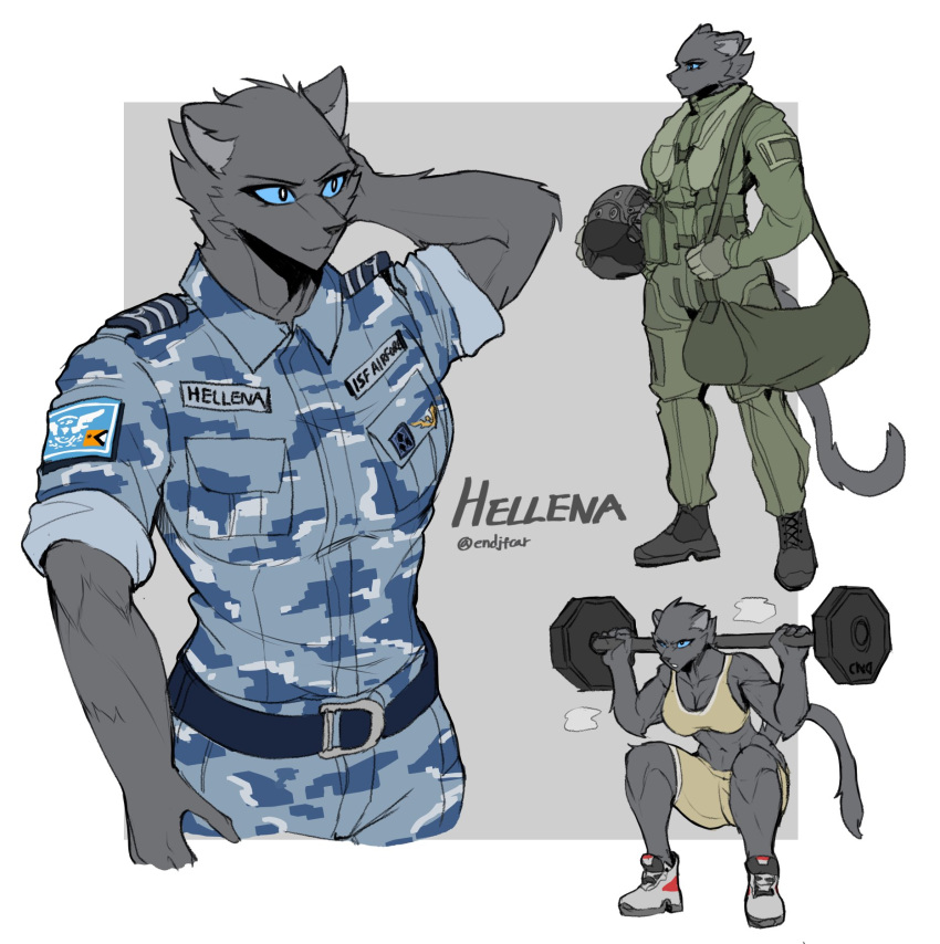 anthro belt blue_eyes blue_uniform bra clothing dark_body dark_fur endjfcar exercise female footwear fur hellena_(endjfcar) hi_res military muscular muscular_anthro muscular_female shoes solo tail underwear