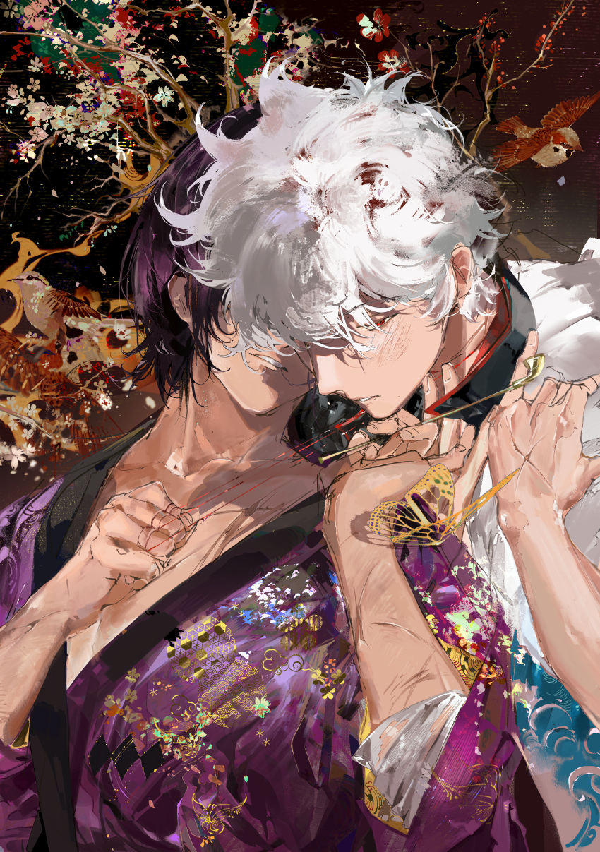 2boys abstract_background absurdres animal_collar bird black_background black_collar blood blood_in_hair bug butterfly clenched_hand collar collarbone defeat eurasian_tree_sparrow fingernails floral_background gintama hand_on_another's_chin highres japanese_clothes kimono long_sleeves male_focus messy_hair multiple_boys necessarytothink parted_lips pectoral_cleavage pectorals purple_hair purple_kimono red_eyes sakata_gintoki scar scar_on_arm short_hair sleeves_past_elbows sparrow string string_around_finger string_around_neck string_of_fate takasugi_shinsuke upper_body white_hair white_kimono yaoi yellow_butterfly