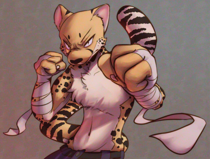 bottomwear cheetah clothing felid feline fighting_pose fist male mammal mendobear pants pose serious solo