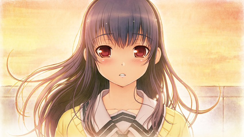 black_hair game_cg kimi_to_kanojo_to_kanojo_no_koi. long_hair nitroplus purple_eyes seifuku sone_miyuki sunset tsuji_santa