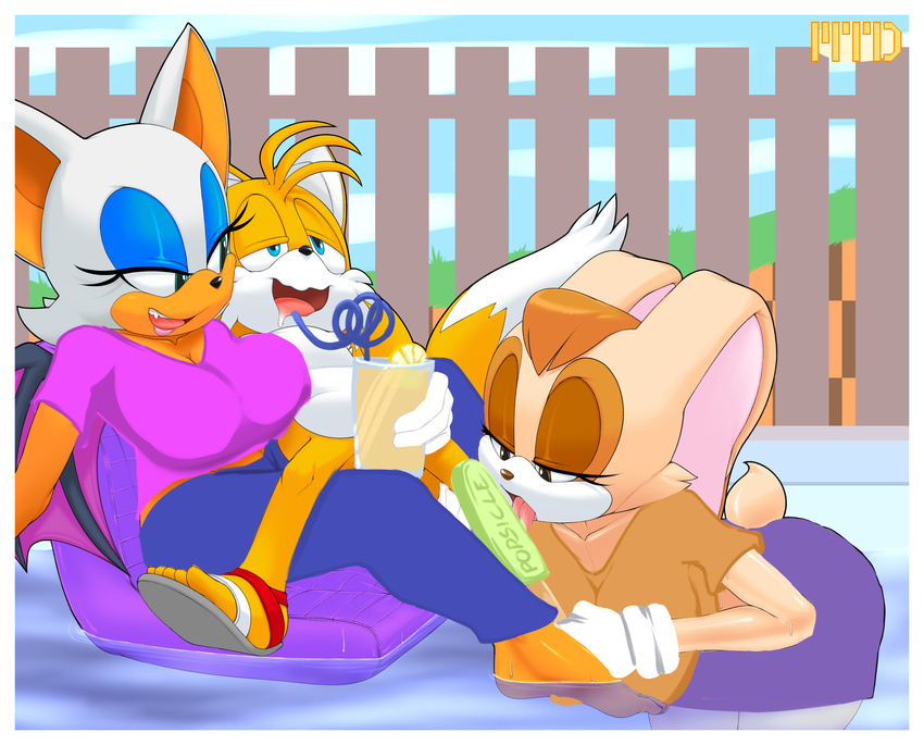 2015 absurd_res age_difference anthro bat big_breasts bodily_fluids border breasts canid canine censored convenient_censorship drooling female fox group hi_res lagomorph larger_female leg_lick leporid licking male male/female mammal marthedog mature_anthro mature_female older_female rabbit rouge_the_bat saliva sega size_difference smaller_male sonic_the_hedgehog_(series) swimming_pool tails tongue tongue_out vanilla_the_rabbit water white_border young young_anthro younger_male