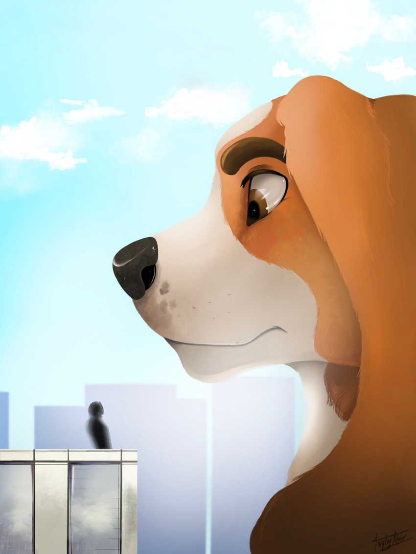 anthro artist_name basset_hound black_nose brown_eyebrows brown_eyes building canid canine canis city city_background cloud colored day detailed_background digital_drawing_(artwork) digital_media_(artwork) domestic_dog duo eduk_(taylornoir) eyebrows floppy_ears foxhound fur headshot_portrait hi_res human hunting_dog hybrid larger_anthro larger_male looking_down looming macro male mammal micro orange_body orange_fur outside portrait scent_hound signature size_difference sky skyline skyscraper smaller_human taylornoir white_body white_fur