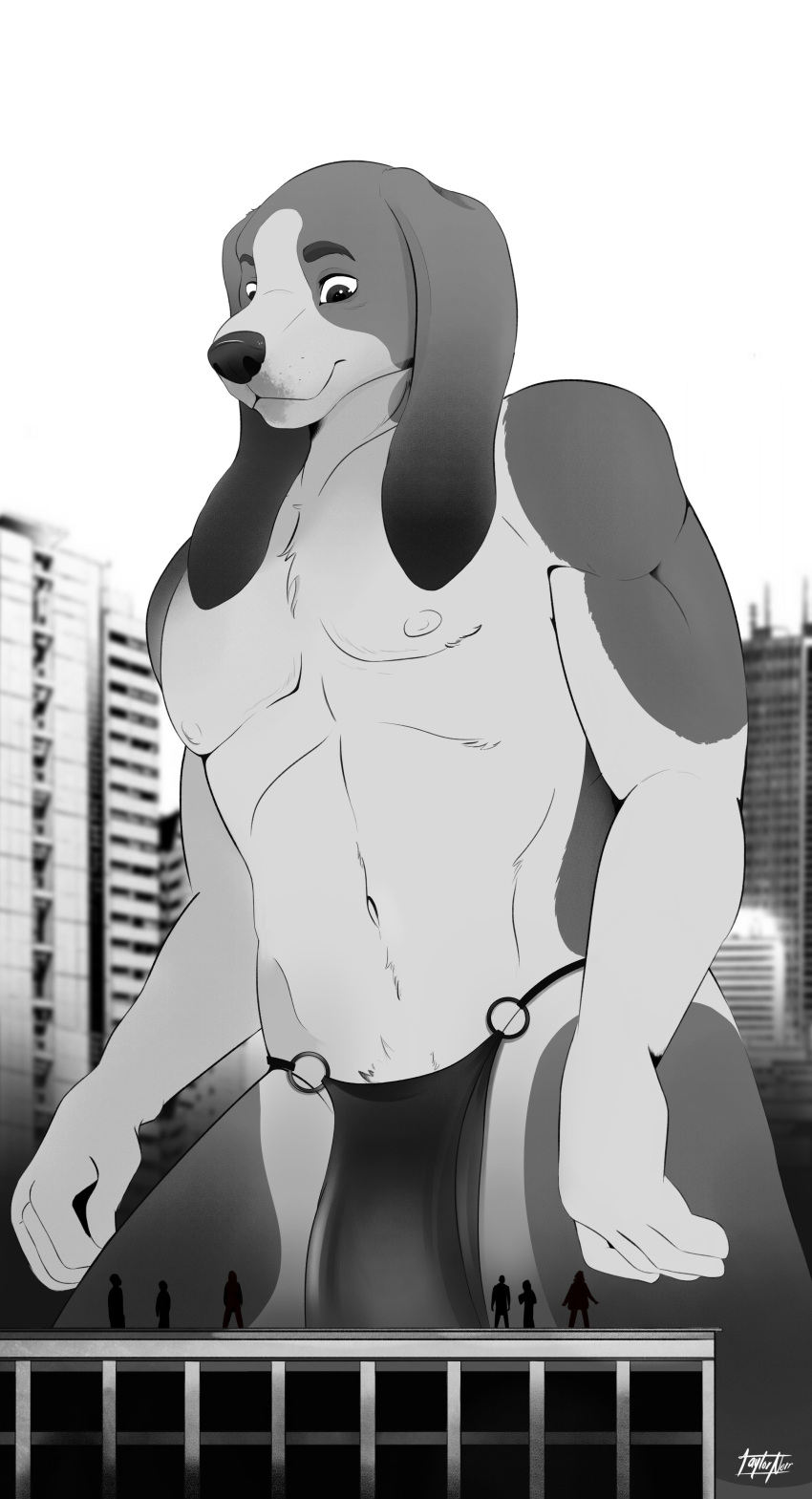 2021 absurd_res anthro artist_name basset_hound black_and_white black_nose bottomwear building canid canine canis city city_background clothed clothing digital_drawing_(artwork) digital_media_(artwork) domestic_dog eduk_(taylornoir) extreme_size_difference eyebrows floppy_ears foxhound fur hi_res human hunting_dog hybrid larger_anthro larger_male loincloth looking_down looking_up macro male mammal monochrome nipples portrait rooftop scent_hound shaded signature size_difference smaller_human solo taylornoir three-quarter_portrait topless topless_male white_body white_fur