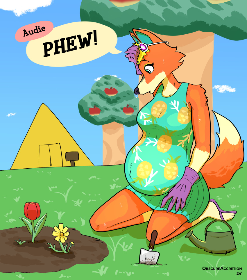 2024 5_fingers absurd_res animal_crossing anthro audie_(animal_crossing) belly big_belly black_nose blonde_hair bodily_fluids breasts canid canine canis clothed clothed_anthro clothed_female clothing dress dweevil english_text eyewear eyewear_on_head female fingers flower footwear fur gardening gloves hair handwear hi_res humanoid_hands kneeling mammal mayternity mayternity_2024 nintendo outside plant pregnant pregnant_anthro pregnant_female red_body red_fur sandals solo spade_(shovel) sunglasses sunglasses_on_head sweat tent text tree tulip_(flower) watering_can wolf