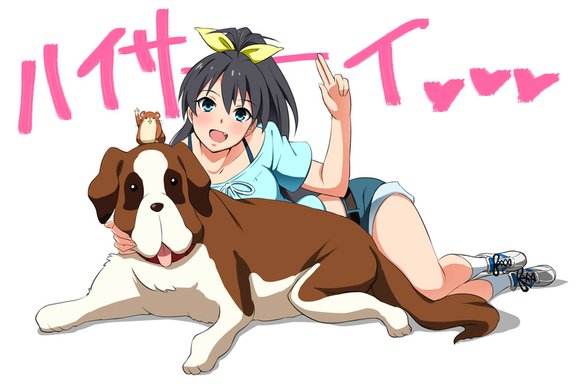 animal antenna_hair aqua_eyes bad_id bad_pixiv_id black_hair blue_eyes canine collar female ganaha_hibiki hamster hamuzou idolmaster idolmaster_(classic) inumi ivolay oerba_yun_fang ponytail shoes short_shorts shorts sneakers socks st_bernard text_background waving white_legwear