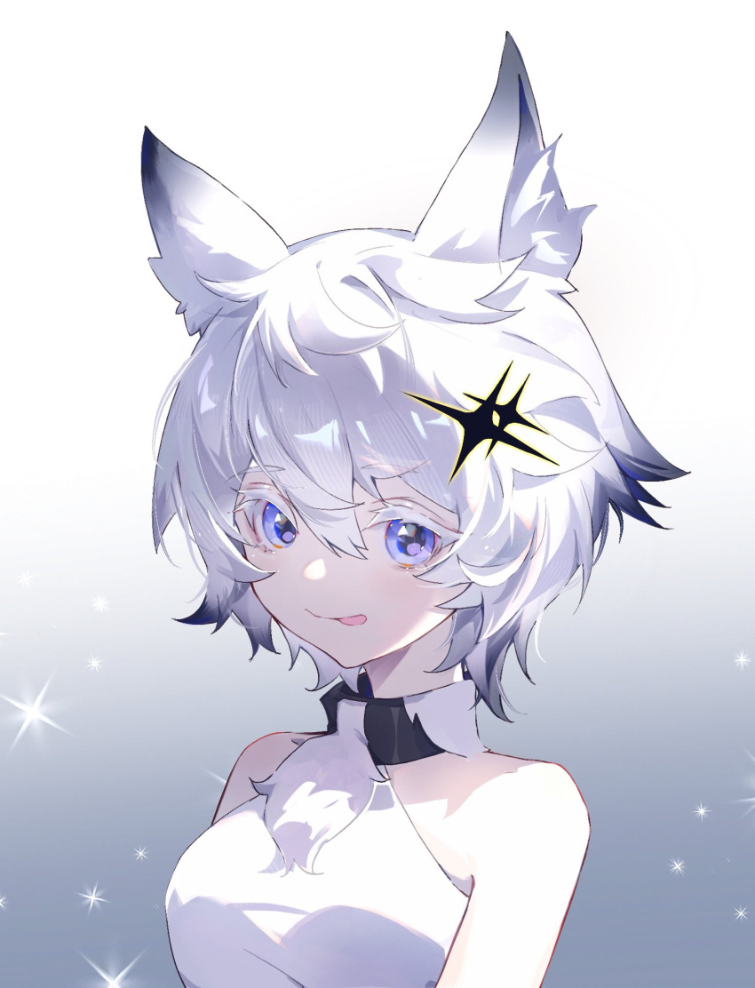 :p alchemy_stars animal_ear_fluff animal_ears bare_shoulders blue_eyes breasts cat_ears collar colored_tips female gradient_background hair_between_eyes highres jyisheng looking_at_viewer medium_breasts multicolored_hair philyshy_(alchemy_stars) philyshy_(sweet_dreams)_(alchemy_stars) short_hair sleeveless smile solo tongue tongue_out upper_body white_hair