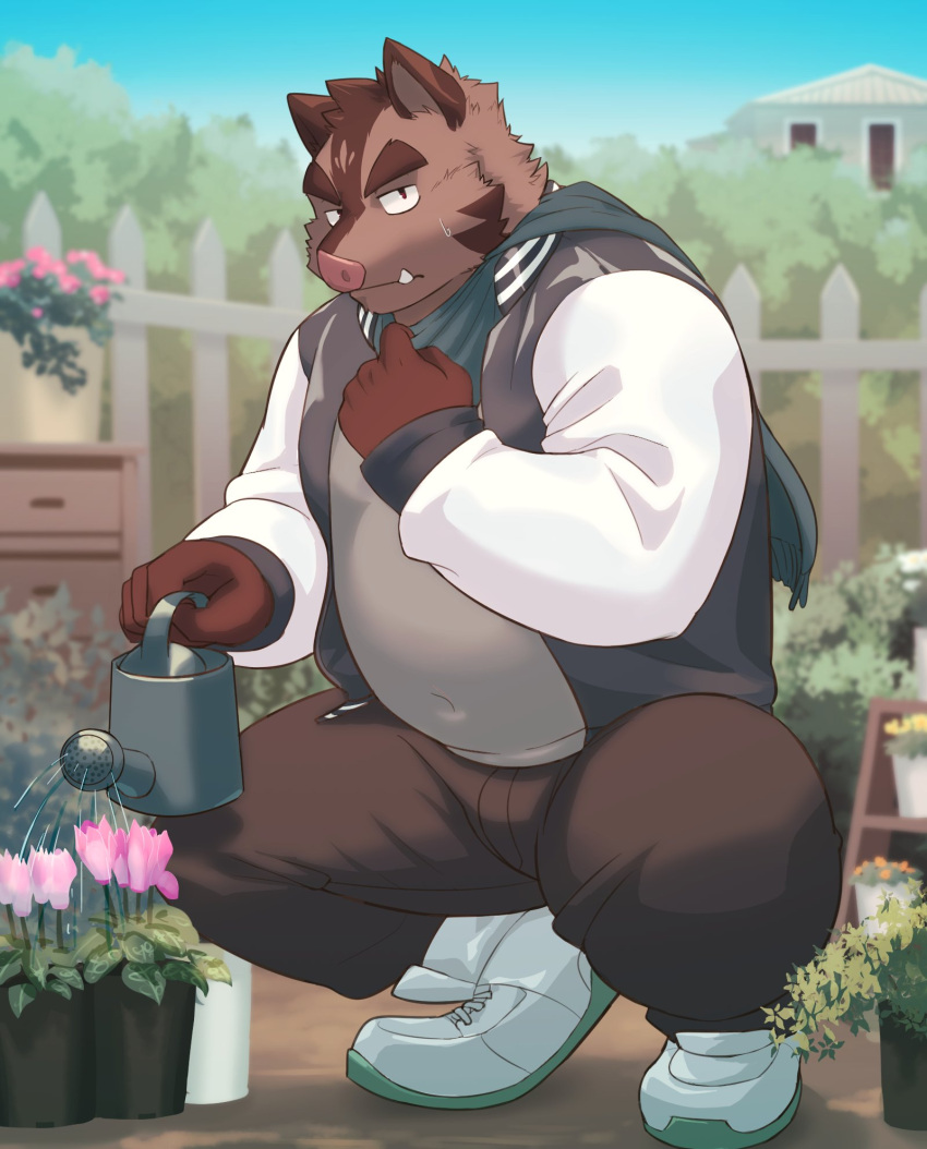 2022 anthro bottomwear brown_body clothing detailed_background gardening hermann_(knights_college) hi_res humanoid_hands kemono knights_college male mammal oumagawald outside overweight overweight_male pants scarf solo suid suina sus_(pig) sweater topwear watering_can wild_boar