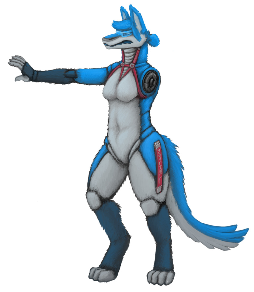 1_missing_limb 2018 4_toes 5_fingers alpha_channel amputee anthro barefoot biped blue_body blue_eyes blue_fur breasts canid canine cheek_tuft countershade_torso countershading digital_media_(artwork) digital_painting_(artwork) disability facial_tuft featureless_breasts feet female fingers fluffy fluffy_tail fur grey_body grey_countershading grey_fur head_tuft hi_res leia_mitchell_(verkele) long_tail looking_away machine mammal markings missing_arm multicolored_body multicolored_fur nude paws robot side_view simple_background small_breasts solo standing stump_socket tail text three-quarter_view toes transparent_background tuft verkele visor