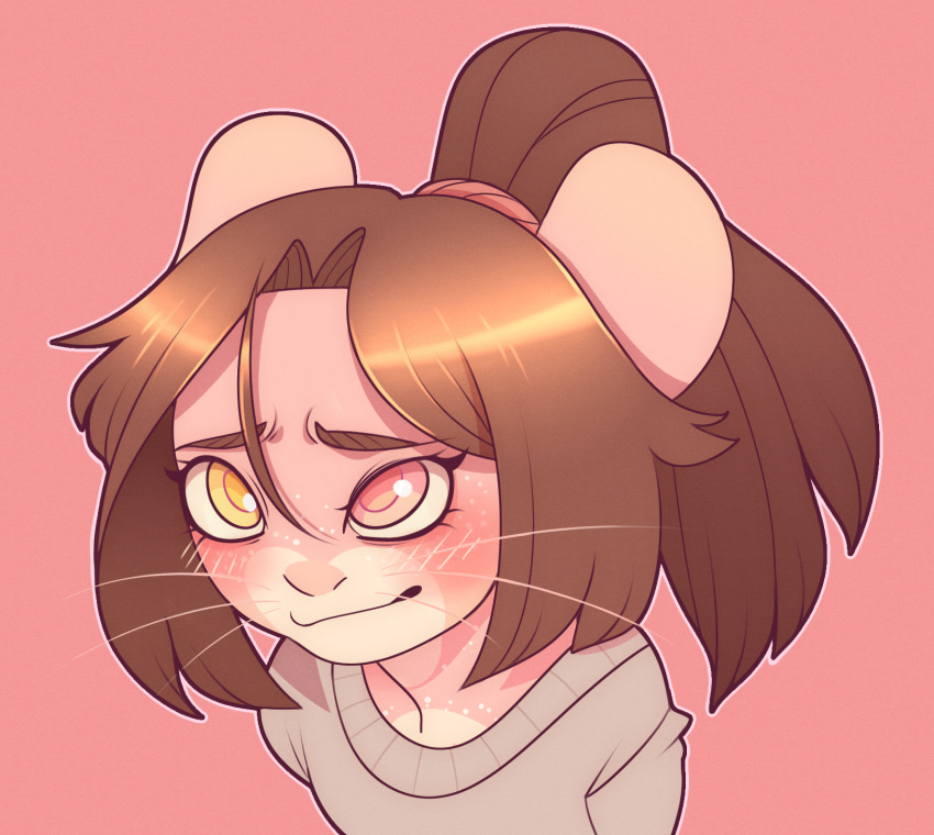 anthro blush brown_hair chinchilla chinchillid cinnamon_(sinamuna) clothing female freckles fur hair heterochromia hi_res mammal pink_body pink_eyes pink_fur ponytail rodent shy smokyjack solo sweater topwear whiskers yellow_eyes