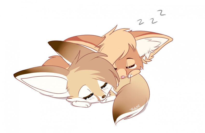 2017 ambiguous_gender canid canine closed_eyes duo fennec_fox feral fox mammal simple_background sleeping taykoe true_fox white_background