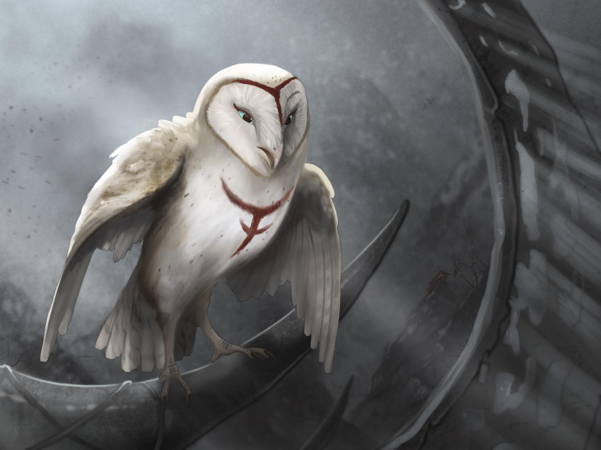 ambiguous_gender avian barn_owl bird blue_eyes feathers feet female_(lore) feral guardians_of_ga'hoole hi_res markings nyra_(gogh) owl scar senecar0cks solo talons toes tyto tytonid white_body white_feathers