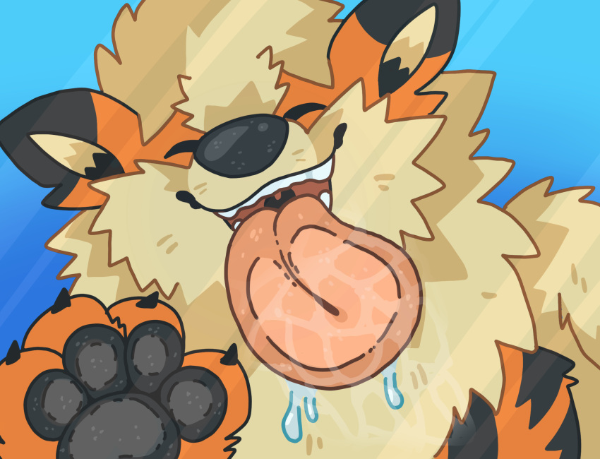 arcanine big_tongue black_body black_fur black_pawpads blue_background bodily_fluids claws digital_media_(artwork) fur generation_1_pokemon hi_res licking_screen long_tongue nintendo open_mouth orange_body orange_fur pawpads pechaberry pokemon pokemon_(species) saliva screen_lick simple_background smile tongue tongue_out