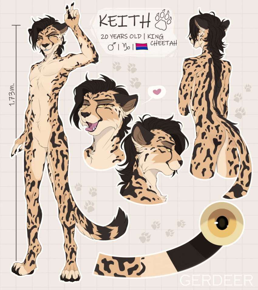 2022 anthro artist_name bisexual_pride_colors black_hair black_pawpads brown_body brown_fur brown_hair brown_nose cel_shading character_name cheetah claws color_swatch countershading digital_drawing_(artwork) digital_media_(artwork) english_text featureless_crotch felid feline fur gerdeer hair hi_res king_cheetah lgbt_pride male mammal model_sheet nude open_mouth pawpads pecs pink_tongue pride_colors shaded simple_background smile solo tan_body tan_fur teeth text tongue yellow_eyes