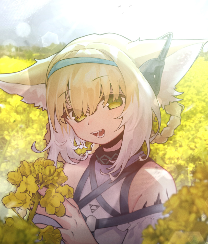 :d animal_ears arknights bare_shoulders blonde_hair braid braided_hair_rings commentary day english_commentary eyes_visible_through_hair female flower fox_ears hair_between_eyes hair_rings highres holding holding_flower looking_at_viewer mixed-language_commentary movik multicolored_hair outdoors rapeseed_blossoms shirt smile solo suzuran_(arknights) twin_braids two-tone_hair upper_body white_hair white_shirt yellow_flower