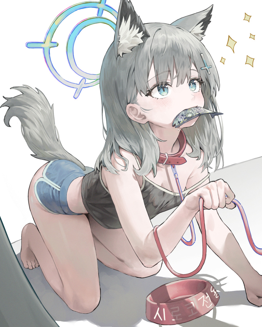 alternate_costume animal_collar animal_ear_fluff animal_ears black_camisole blue_archive blue_halo blue_shorts blush bowl camisole collar commentary cross cross_hair_ornament dolphin_shorts extra_ears female grey_hair hair_ornament halo highres inverted_cross looking_up merong_(sou47897) mismatched_pupils pet_bowl pet_play shiroko_(blue_archive) short_hair short_shorts shorts simple_background solo tail white_background wolf_ears wolf_girl wolf_tail