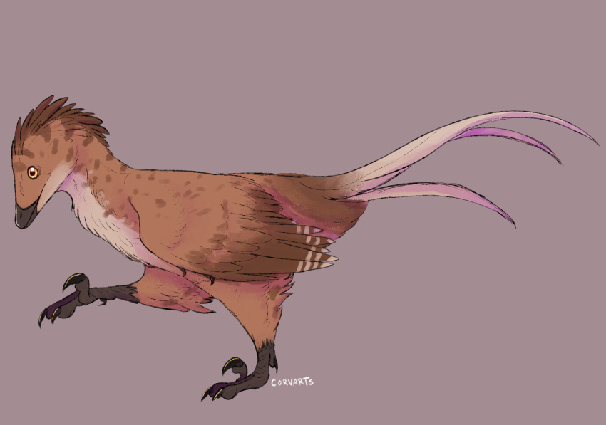 ambiguous_gender avian bird black_feet brown_body corvarts dinosaur enantiornithine extinct feathers feet feral hi_res prehistoric_species purple_body purple_feathers reptile scalie sickle_claw solo