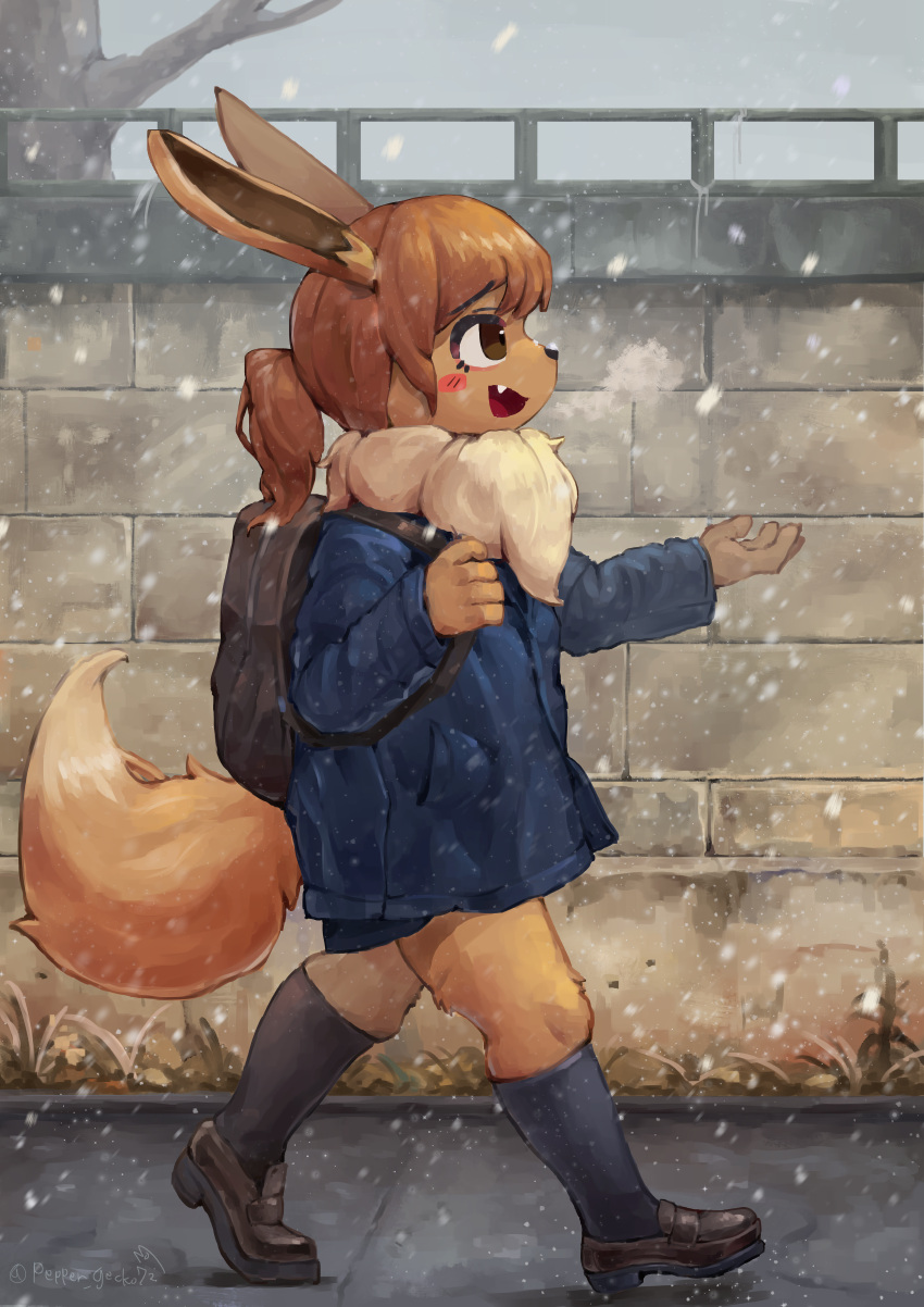 absurd_res anthro anthrofied artist_name backpack biped black_clothing black_footwear black_socks blue_clothing blue_jacket blue_topwear blush brown_body brown_eyes brown_fur brown_hair clothed clothing cute_fangs dipstick_tail eevee female fluffy fluffy_tail footwear fur generation_1_pokemon grass hair hi_res holding_out_hand jacket kemono leg_tuft loafers lolicon markings nintendo open_mouth outside peppergecko72 plant pokemon pokemon_(species) pokemorph ponytail ruff signature snow socks solo tail tail_markings tongue topwear tree tuft twitter_handle walking wall_(structure) winter young young_anthro young_female