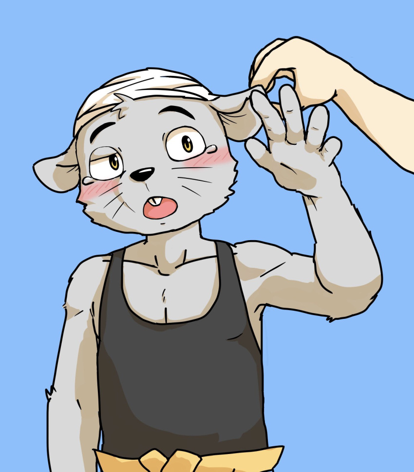 2020 4_fingers anthro bandana black_clothing black_shirt black_tank_top black_topwear blue_background blush bodily_fluids bottomwear buckteeth bullying chuukichi_(morenatsu) clothing colored duo ear_pinch embarrassed fingers fur grey_body grey_fur hi_res human kerchief male mammal morenatsu mouse murid murine nekotanyanneko one_eye_half-closed open_mouth pants raised_arm rodent shirt simple_background tank_top tears teasing teeth topwear yellow_eyes