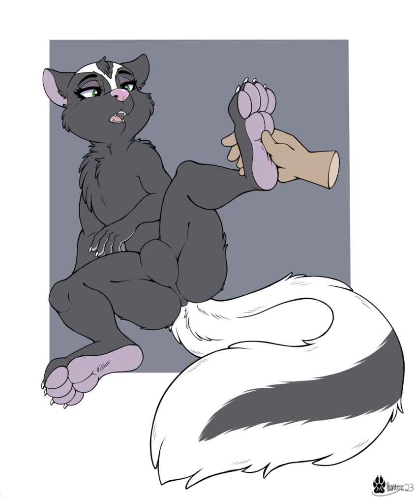 2023 anthro claws disembodied_hand dreamworks duo fangs featureless_crotch female fur half-closed_eyes hi_res holding_feet humanoid_hands mammal marcushunter mephitid narrowed_eyes nude null open_mouth over_the_hedge signature sitting skunk skunk_tail spread_legs spreading stella_(over_the_hedge) tail teeth toe_claws tongue