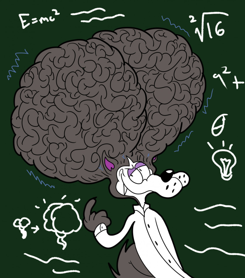 2021 anthonybren anthro big_brain big_cranium brain_expansion brain_folds brain_growth canid canine canis chalkboard clothing coat cranium_growth domestic_dog e=mc2 grey_body hi_res huge_brain huge_cranium husky hyper_brain hyper_cranium lab_coat male mammal nordic_sled_dog solo spitz tagme throbbing_brain throbbing_head topwear