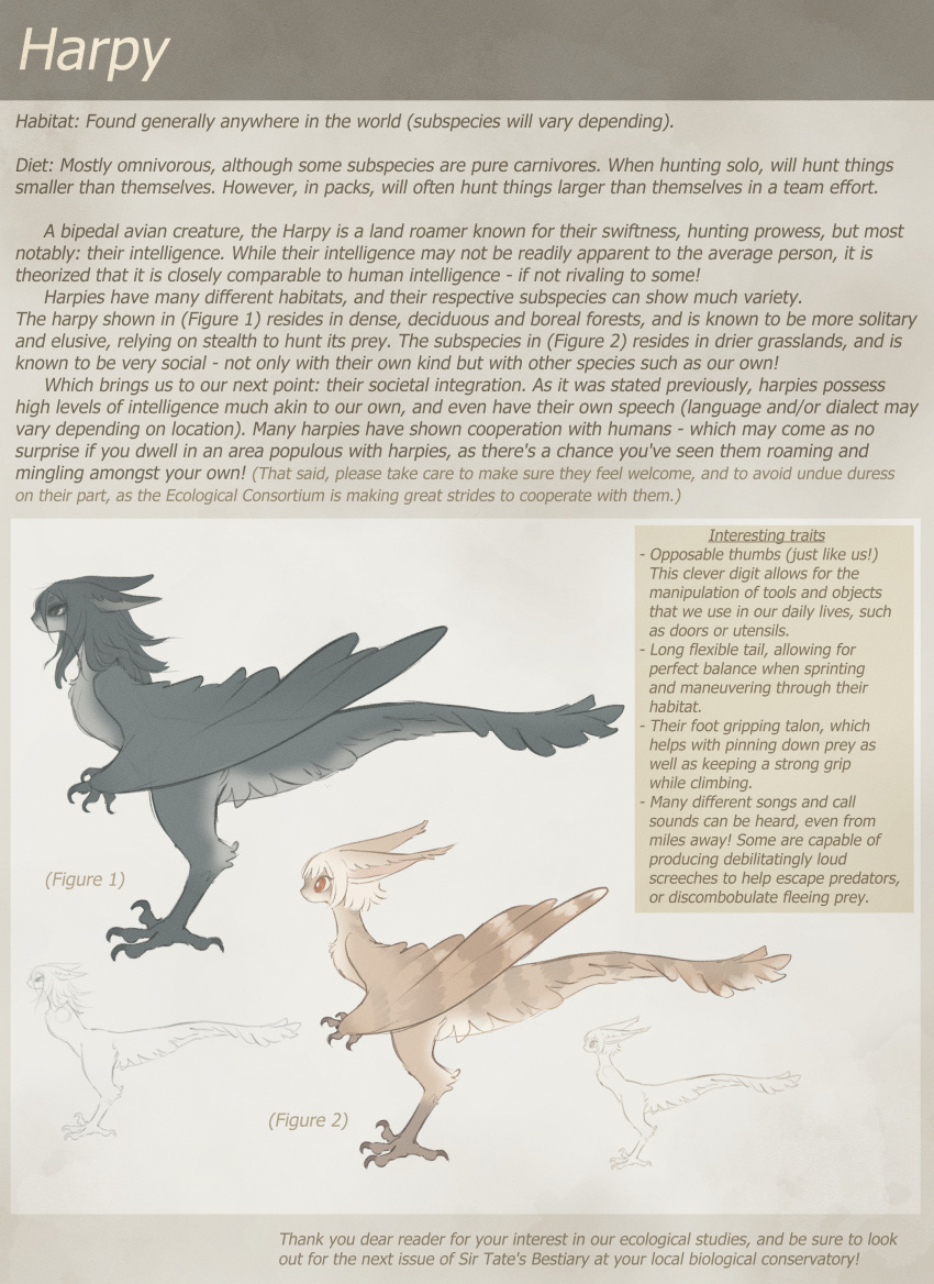 absurd_res ambiguous_gender avian avian_feet black_body black_eyes black_feathers black_hair brown_body brown_feathers claws duo ear_tuft english_text european_mythology feathered_tail feathers feet greek_mythology hair harpy hi_res long_ears long_hair mythological_avian mythological_creature mythology nude red_eyes short_hair sickle_claw tail talons tateoftot text toe_claws toes tuft white_hair winged_arms wings