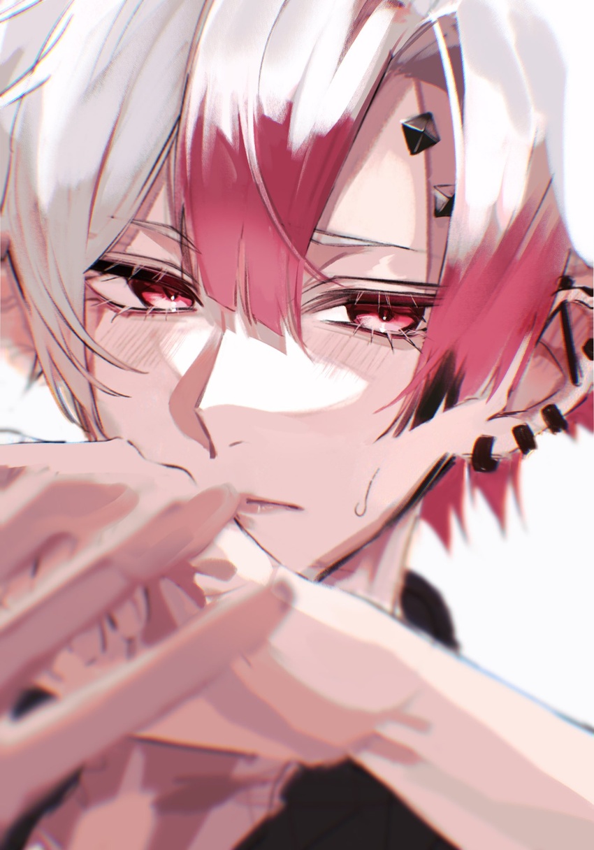 1boy akuma_shitsuji_to_kuroi_neko ammon_lead black_shirt blush closed_mouth collared_shirt ear_piercing earrings forehead_piercing highres jewelry male_focus multicolored_hair multiple_earrings ohachi08 piercing pink_eyes pink_hair shirt short_hair solo sweat white_hair