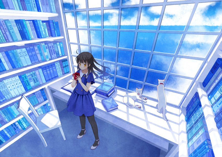 black_hair black_pantyhose blue_shirt blue_skirt blue_theme book bookshelf chair cloud commentary_request cup day desk feline female holding mug open_book orange_eyes original pantyhose shirt shoes short_sleeves silhouette skirt sky solo standing tozaki_makoto window