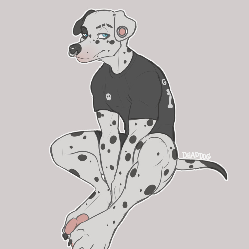 1:1 absurd_res anthro bam_(bambii_dog) bambii_dog barefoot biped black_body black_claws black_clothing black_nose black_shirt black_spots black_topwear black_underwear blue_eyes canid canine canis claws clothed clothing dalmatian domestic_dog ear_piercing facial_piercing feet gauged_ear hi_res looking_at_viewer male mammal markings multicolored_body nose_piercing nose_ring pawpads piercing pink_pawpads ring_piercing septum_piercing shirt simple_background sitting solo spots spotted_body t-shirt text text_on_clothing text_on_shirt text_on_topwear toe_claws topwear two_tone_body underwear white_body