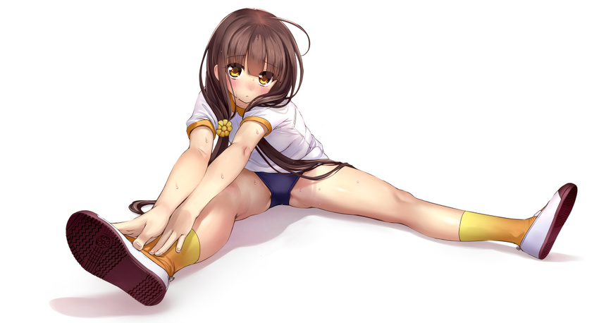 :< blue_buruma blush brown_hair buruma commentary_request female flower flower_knight_girl foreshortening full_body groin_tendon gym_uniform hair_flower hair_ornament hair_over_shoulder helenium_(flower_knight_girl) long_hair looking_at_viewer sasayuki shirt shoe_soles shoes short_sleeves simple_background sitting socks solo spread_legs stretching sweat touching_toes twintails uwabaki very_long_hair white_background white_footwear white_shirt yellow_eyes yellow_socks