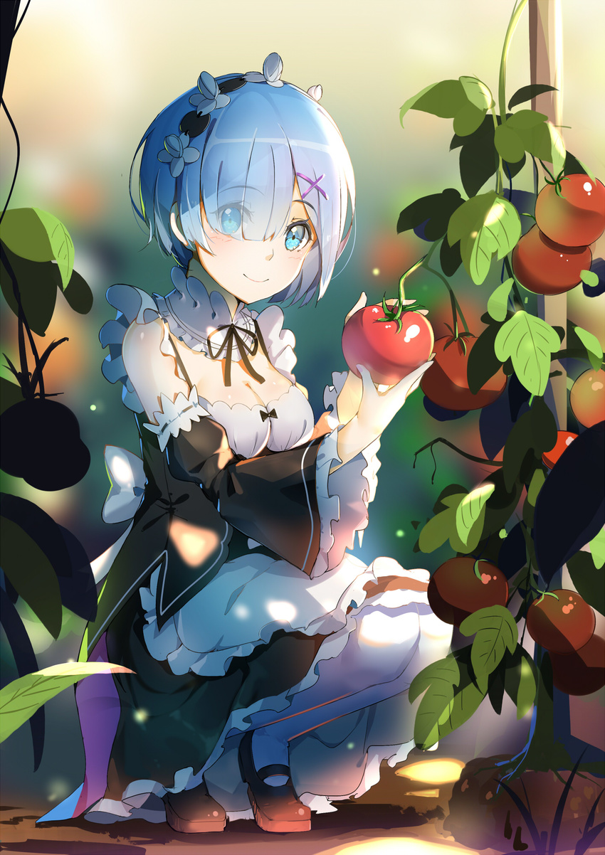 blue_eyes blue_hair blurry blush breasts cleavage closed_mouth commentary_request depth_of_field detached_sleeves dress eyes_visible_through_hair female food frilled_sleeves frills fruit full_body hair_ornament hair_over_one_eye highres holding holding_food holding_fruit lu" maid maid_headdress mary_janes medium_breasts pantyhose plant re:zero_kara_hajimeru_isekai_seikatsu rem_(re:zero) ribbon-trimmed_sleeves ribbon_trim roswaal_mansion_maid_uniform shoes short_hair smile solo squatting tomato vines white_pantyhose wide_sleeves x_hair_ornament