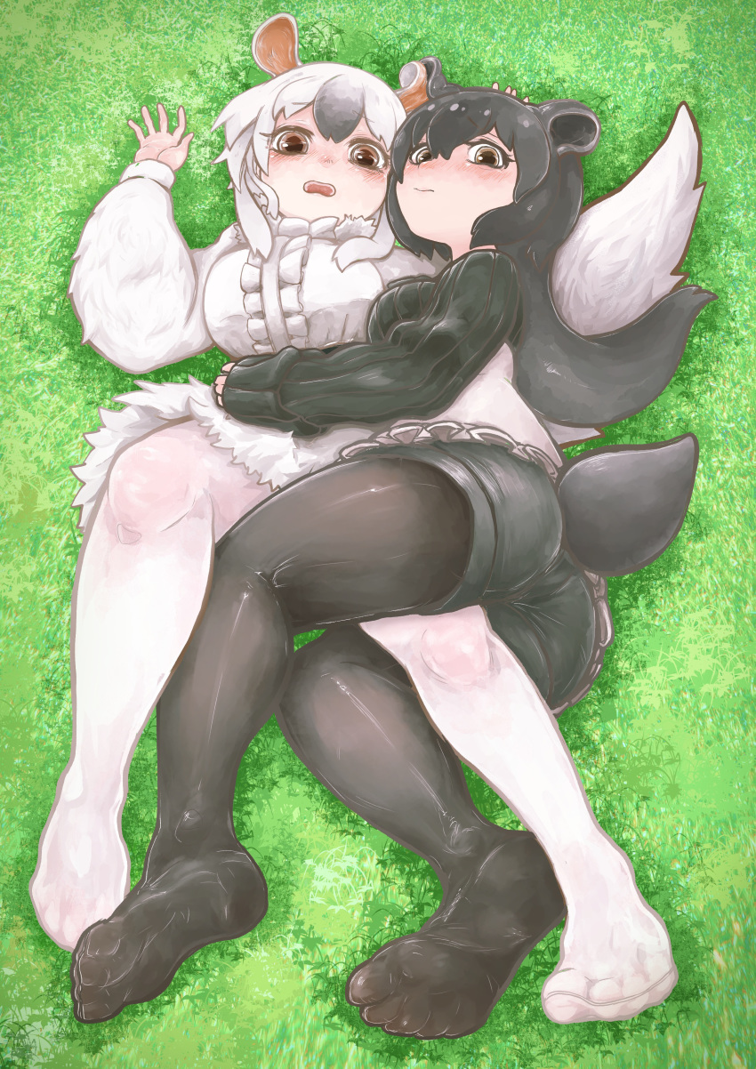 2girls absurdres animal_ears anteater_ears anteater_tail arm_around_waist ass bad_id bad_pixiv_id between_legs black_hair black_legwear brown_eyes center_frills closed_mouth commentary_request day dress extra_ears feet frills full_body furrowed_brow grass hands_up highres hug kemono_friends knee_up komeiponkiti long_hair long_sleeves looking_at_viewer lying malayan_tapir_(kemono_friends) multicolored_hair multiple_girls no_shoes on_back on_side open_mouth outdoors pantyhose pantyhose_under_shorts short_dress short_hair shorts sidelocks soles southern_tamandua_(kemono_friends) sweater tail tail_through_clothes tamandua_ears tamandua_tail tapir_ears tapir_tail toes two-tone_hair white_hair white_legwear yuri