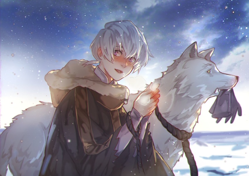 1boy androgynous blush brown_coat canine cloud cloudy_sky coat fumetsu_no_anata_e fur_trim fushi gloves hair_between_eyes holding holding_clothes holding_gloves joan_(fumetsu_no_anata_e) katagawa_mika leash low_ponytail male_focus night night_sky open_mouth purple_eyes short_hair sky snow steam the_nameless_boy_(fumetsu_no_anata_e) upper_body white_fur white_hair